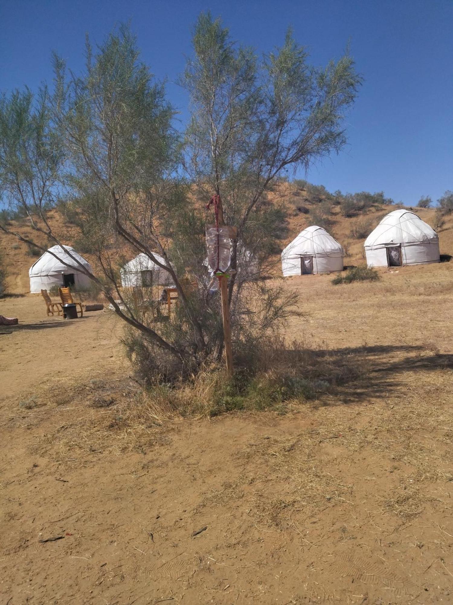 Authentic Uzbek Yurt Camp Eco-Friendly Hotel Nurota Bagian luar foto